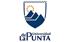 punta logo